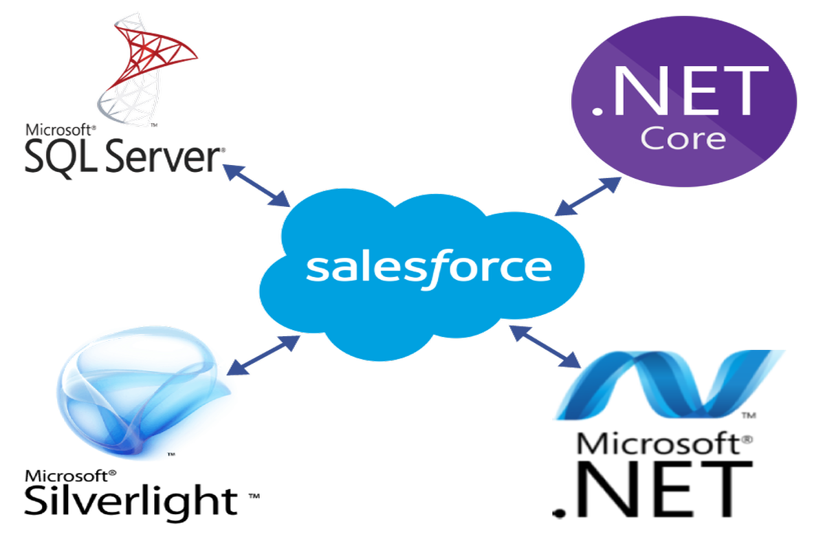 Salesforce Integration With .NET using WSDL